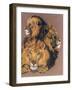 Shades of Amber-Barbara Keith-Framed Giclee Print