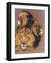 Shades of Amber-Barbara Keith-Framed Giclee Print