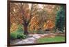 Shades of Autumn-FS Studio-Framed Giclee Print