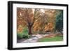 Shades of Autumn-FS Studio-Framed Giclee Print