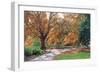 Shades of Autumn-FS Studio-Framed Giclee Print