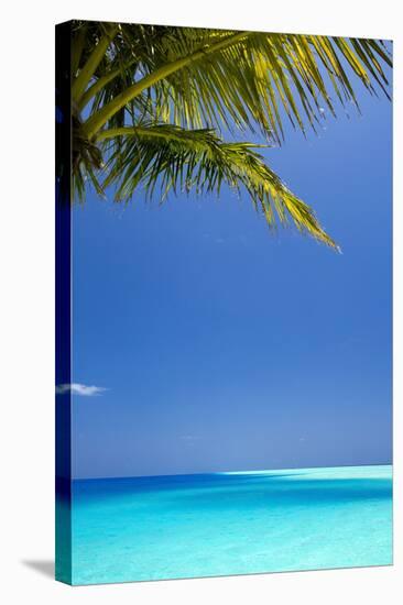 Shades of Blue and Palm Tree, Tropical Beach, Maldives, Indian Ocean, Asia-Sakis-Stretched Canvas