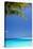 Shades of Blue and Palm Tree, Tropical Beach, Maldives, Indian Ocean, Asia-Sakis-Stretched Canvas