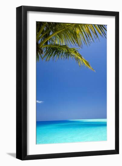 Shades of Blue and Palm Tree, Tropical Beach, Maldives, Indian Ocean, Asia-Sakis-Framed Photographic Print