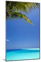 Shades of Blue and Palm Tree, Tropical Beach, Maldives, Indian Ocean, Asia-Sakis-Mounted Photographic Print