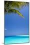 Shades of Blue and Palm Tree, Tropical Beach, Maldives, Indian Ocean, Asia-Sakis-Mounted Photographic Print