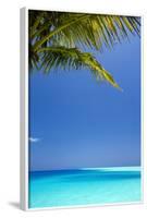 Shades of Blue and Palm Tree, Tropical Beach, Maldives, Indian Ocean, Asia-Sakis-Framed Photographic Print