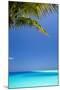 Shades of Blue and Palm Tree, Tropical Beach, Maldives, Indian Ocean, Asia-Sakis-Mounted Photographic Print