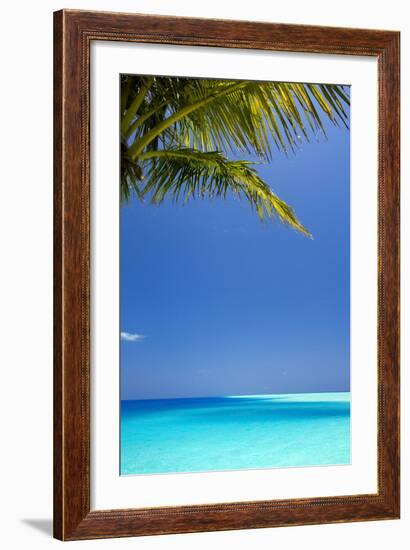 Shades of Blue and Palm Tree, Tropical Beach, Maldives, Indian Ocean, Asia-Sakis-Framed Photographic Print
