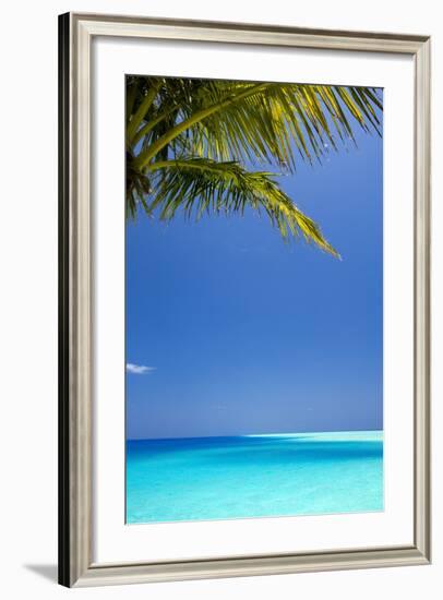 Shades of Blue and Palm Tree, Tropical Beach, Maldives, Indian Ocean, Asia-Sakis-Framed Photographic Print