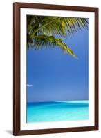 Shades of Blue and Palm Tree, Tropical Beach, Maldives, Indian Ocean, Asia-Sakis-Framed Photographic Print