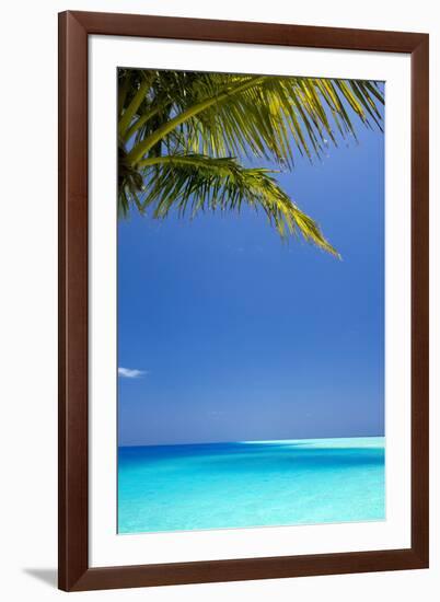 Shades of Blue and Palm Tree, Tropical Beach, Maldives, Indian Ocean, Asia-Sakis-Framed Photographic Print