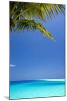 Shades of Blue and Palm Tree, Tropical Beach, Maldives, Indian Ocean, Asia-Sakis-Mounted Photographic Print