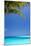 Shades of Blue and Palm Tree, Tropical Beach, Maldives, Indian Ocean, Asia-Sakis-Mounted Photographic Print