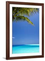 Shades of Blue and Palm Tree, Tropical Beach, Maldives, Indian Ocean, Asia-Sakis-Framed Photographic Print