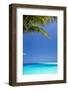 Shades of Blue and Palm Tree, Tropical Beach, Maldives, Indian Ocean, Asia-Sakis-Framed Photographic Print