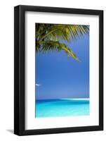 Shades of Blue and Palm Tree, Tropical Beach, Maldives, Indian Ocean, Asia-Sakis-Framed Photographic Print