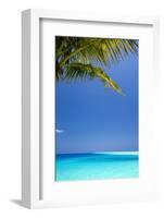 Shades of Blue and Palm Tree, Tropical Beach, Maldives, Indian Ocean, Asia-Sakis-Framed Photographic Print