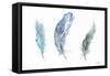 Shades of Blue Feathers-Angela Bawden-Framed Stretched Canvas