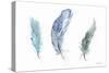 Shades of Blue Feathers-Angela Bawden-Stretched Canvas