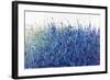 Shades Of Blue Wild Flowers-Tim O'toole-Framed Giclee Print
