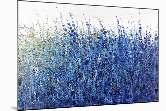 Shades Of Blue Wild Flowers-Tim O'toole-Mounted Giclee Print