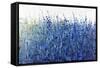 Shades Of Blue Wild Flowers-Tim O'toole-Framed Stretched Canvas