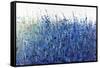 Shades Of Blue Wild Flowers-Tim O'toole-Framed Stretched Canvas