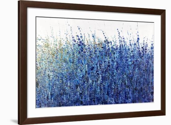 Shades Of Blue Wild Flowers-Tim O'toole-Framed Giclee Print