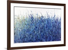 Shades Of Blue Wild Flowers-Tim O'toole-Framed Giclee Print