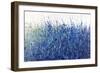 Shades Of Blue Wild Flowers-Tim O'toole-Framed Giclee Print