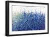 Shades Of Blue Wild Flowers-Tim O'toole-Framed Giclee Print