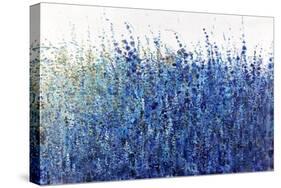 Shades Of Blue Wild Flowers-Tim O'toole-Stretched Canvas