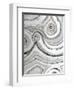 Shades of Gray I-Liz Jardine-Framed Art Print