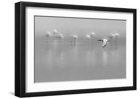 Shades Of Gray-Massimo Mei-Framed Giclee Print