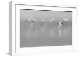 Shades Of Gray-Massimo Mei-Framed Giclee Print