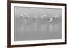 Shades Of Gray-Massimo Mei-Framed Giclee Print