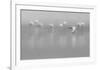 Shades Of Gray-Massimo Mei-Framed Giclee Print