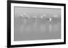 Shades Of Gray-Massimo Mei-Framed Giclee Print