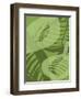 Shades of Green II-Alicia Ludwig-Framed Art Print