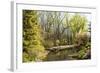 Shades of Green Mark Spring-Richard T. Nowitz-Framed Photographic Print