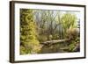 Shades of Green Mark Spring-Richard T. Nowitz-Framed Photographic Print