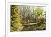 Shades of Green Mark Spring-Richard T. Nowitz-Framed Photographic Print