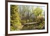 Shades of Green Mark Spring-Richard T. Nowitz-Framed Photographic Print