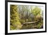 Shades of Green Mark Spring-Richard T. Nowitz-Framed Photographic Print