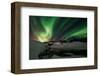 Shades of Green-null-Framed Art Print