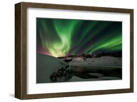 Shades of Green-null-Framed Art Print