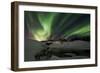 Shades of Green-Bragi Ingibergsson --Framed Photographic Print