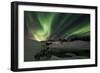 Shades of Green-Bragi Ingibergsson --Framed Photographic Print