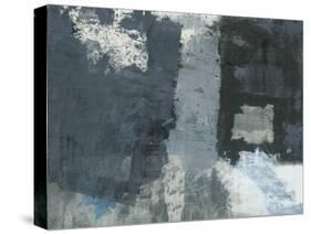 Shades of Grey IV-Elena Ray-Stretched Canvas